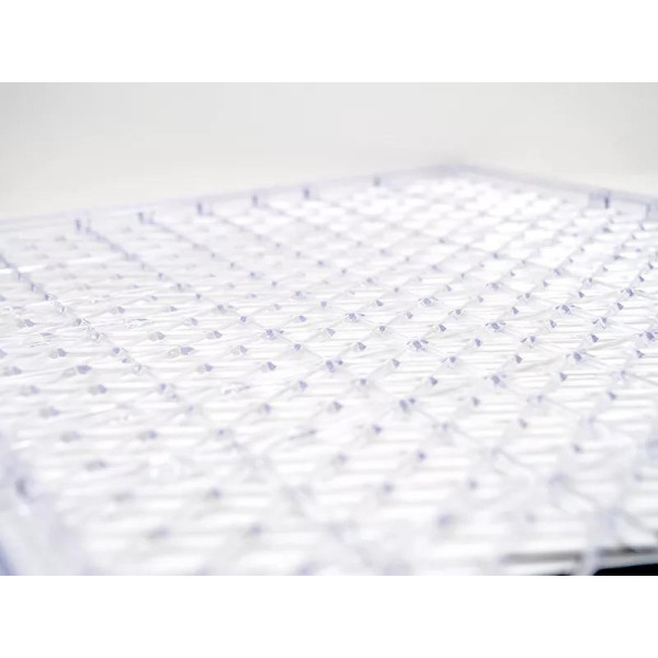 Vaisių džiovyklė, ZY333FD