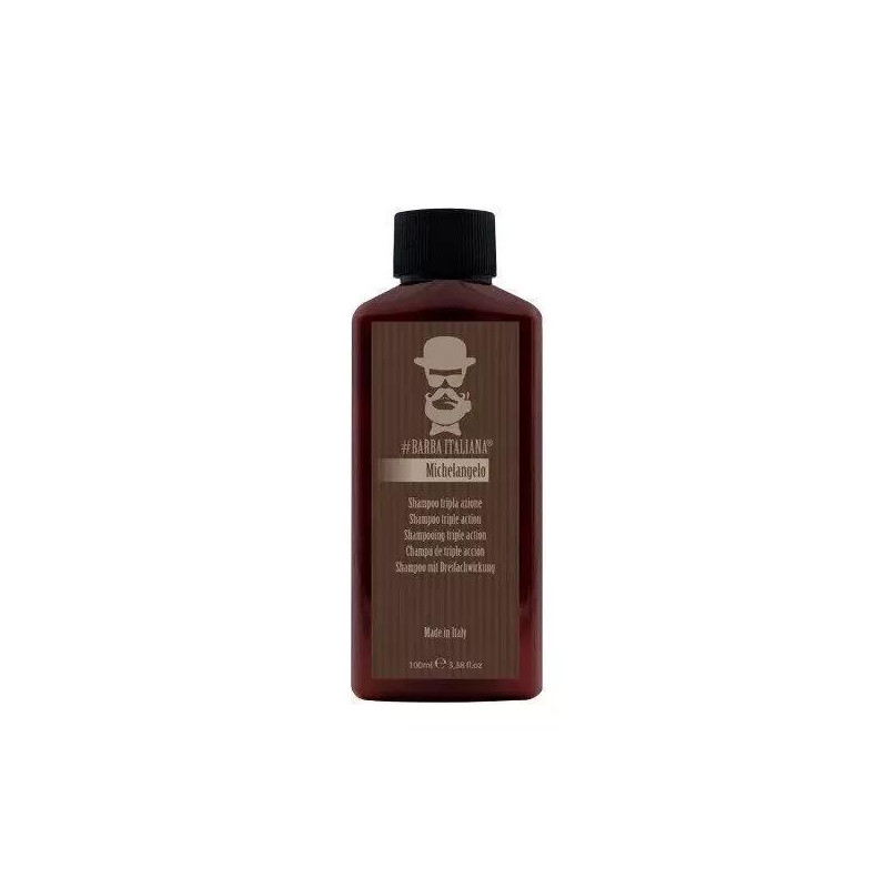 Šampūnas nuo pleiskanų Michelangelo, 100 ml BI007S