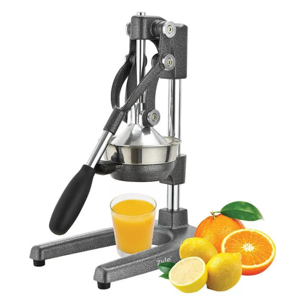 Profesionali citrus. vaisių...