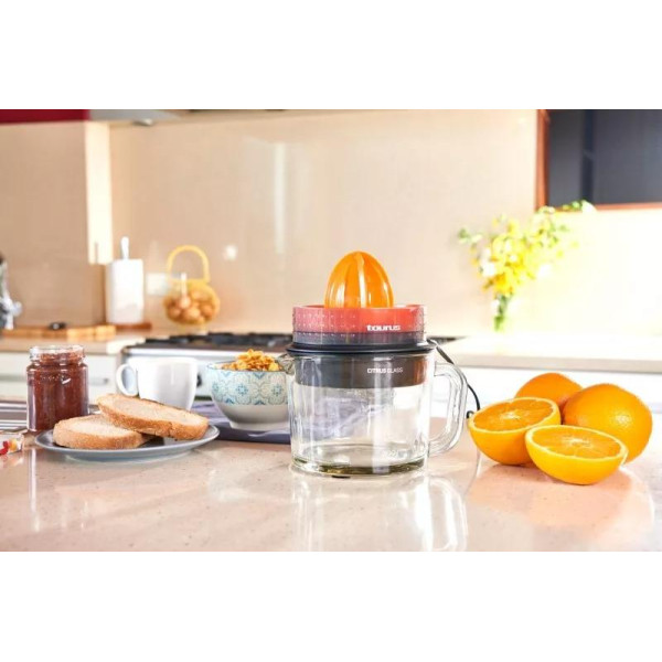 Citrusinių vaisių sulčiaspaudė CITRUSGLASS