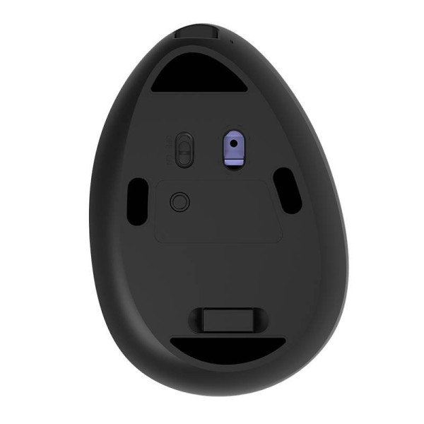 Belaidė vertikali pelė Delux M618DB BT40 + 24GHz 4000DPI RGB