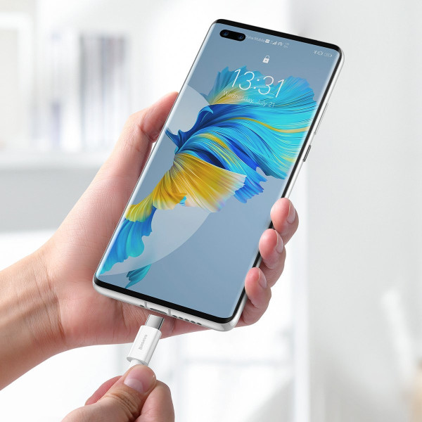 „Baseus Superior“ serijos kabelis iš USB į USB-C 66 W 2 m baltas