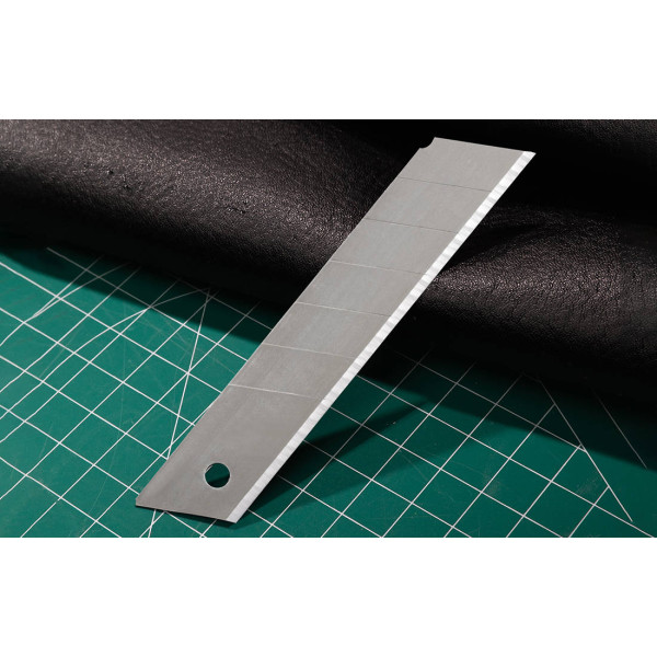 Pjovimo 25mm 10 vnt ašmenų galvutė Deli Tools EDL-DP05 sidabrinė